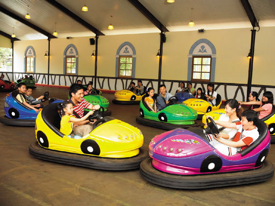 Is It a Smart Idea to Buy Bumper Cars