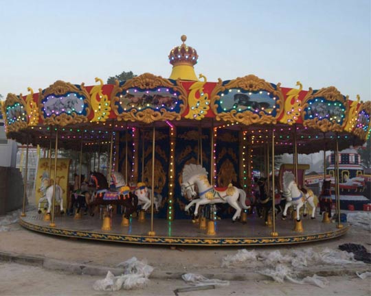 Buy carnival carousel ride