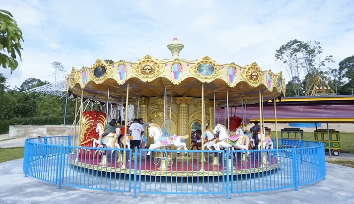 Carousel Amusement Rides